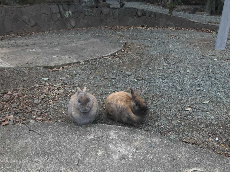 船長さんの温泉の郷 山鹿どんぐり村のサ活写真