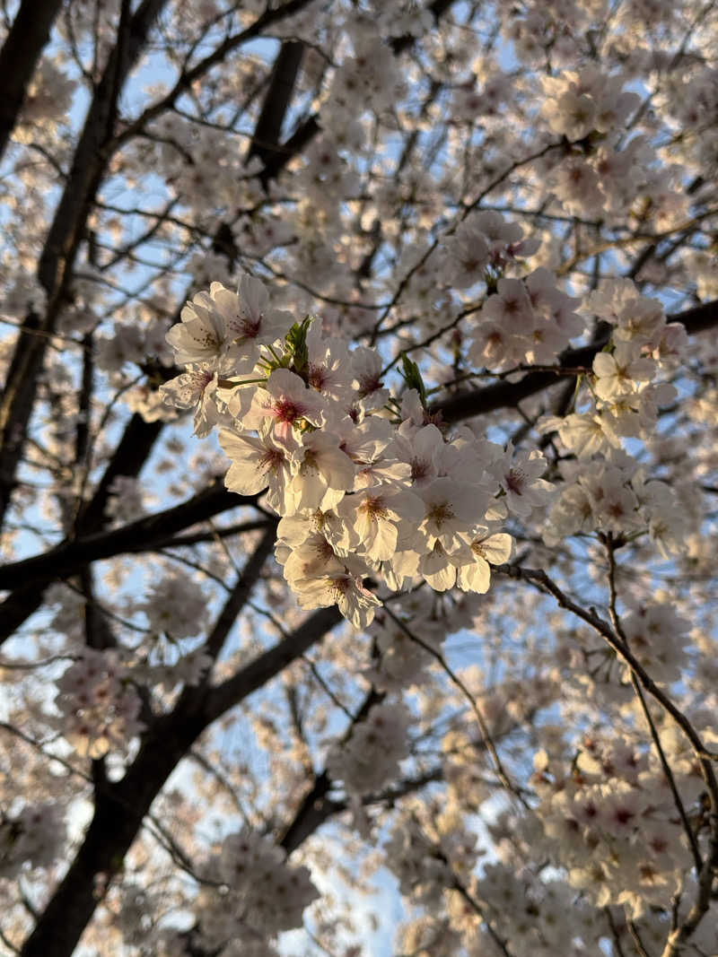 アングラサウナーさんのサウナしきじのサ活写真