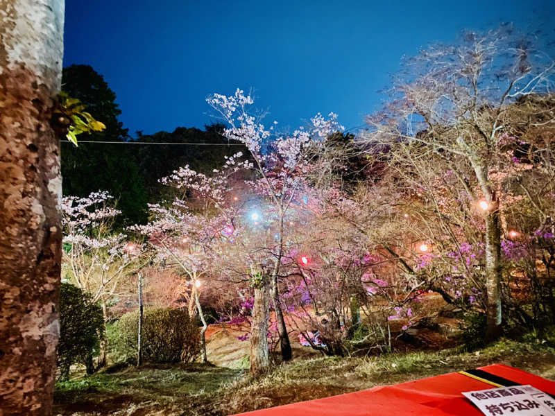 三重ニャンさんの極楽湯 津店のサ活写真