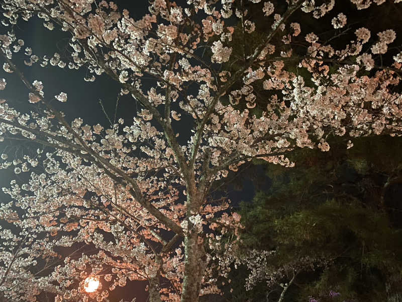 三重ニャンさんの極楽湯 津店のサ活写真