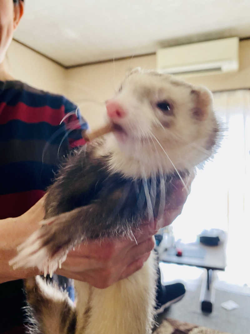 三重ニャンさんのゆうゆう会館(旧ユーユー・カイカン)のサ活写真