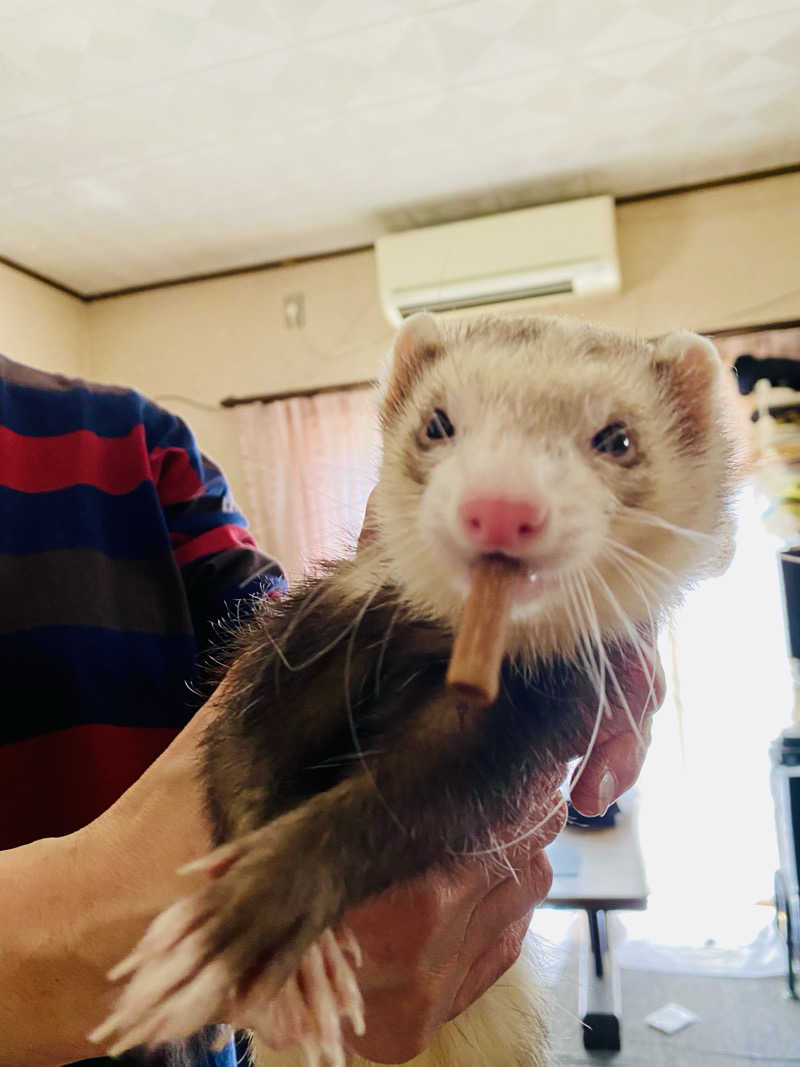 三重ニャンさんのゆうゆう会館(旧ユーユー・カイカン)のサ活写真