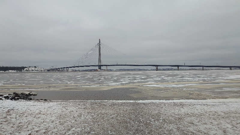 蹴球スコールさんのSompasaunaのサ活写真