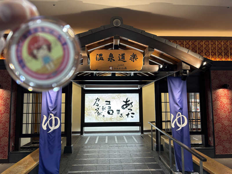 mizoro_tさんの天然温泉 中川コロナの湯のサ活写真