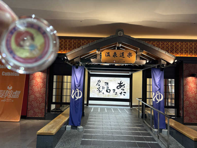 mizoro_tさんの天然温泉 中川コロナの湯のサ活写真