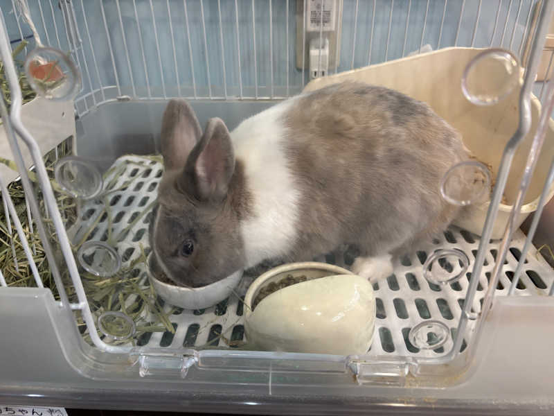 mizoro_tさんのアクアリゾート 岐阜ふじの湯のサ活写真