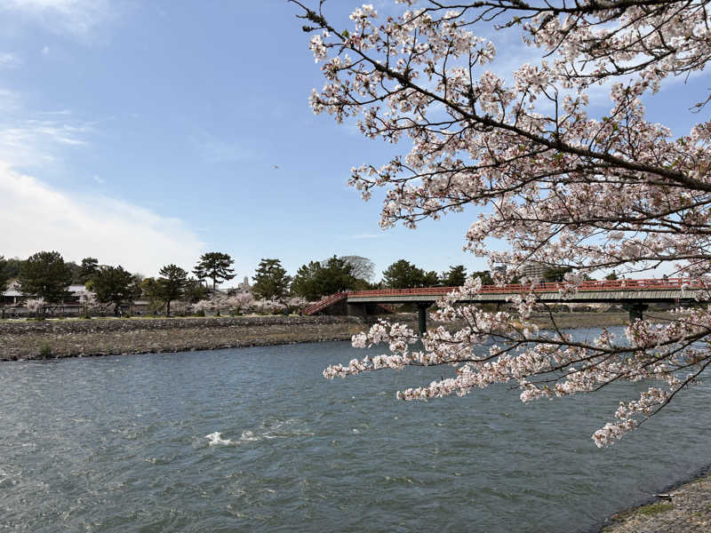 ミーのカーさんの新宮温泉のサ活写真