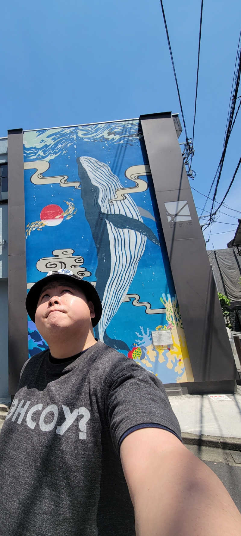 おにぎり(タイキ)そしてトマトさんの改良湯のサ活写真