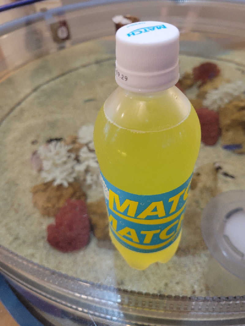 おにぎり(タイキ)そしてトマトさんの福美湯のサ活写真