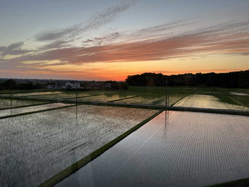 チバサウナーさんの成田の命泉 大和の湯のサ活写真