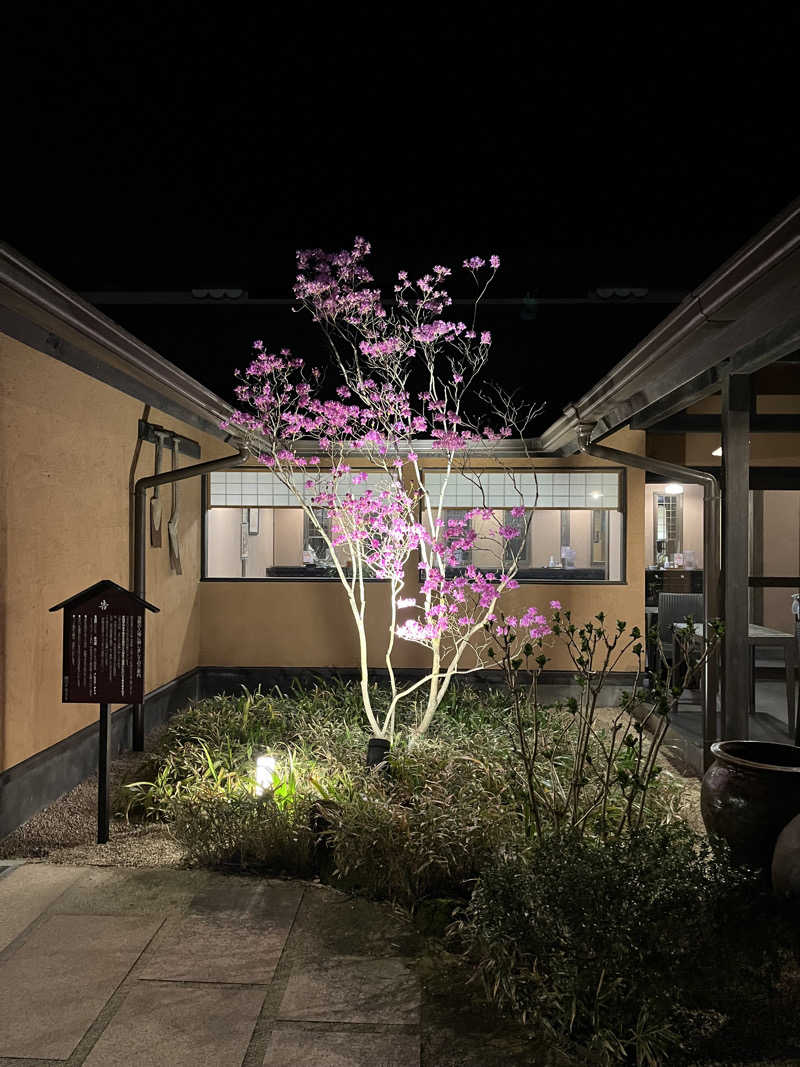 トトピーさんの箱根湯寮のサ活写真