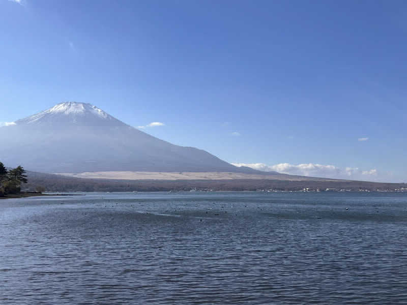 こえりさんのCYCLのサ活写真