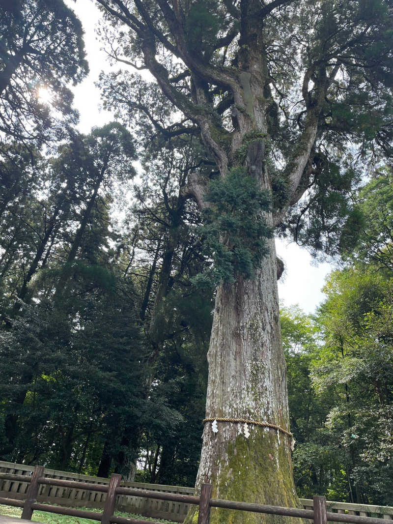 も　2号さんのラビスタ霧島ヒルズのサ活写真