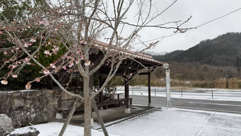 38chännさんの道の駅 願成就温泉のサ活写真