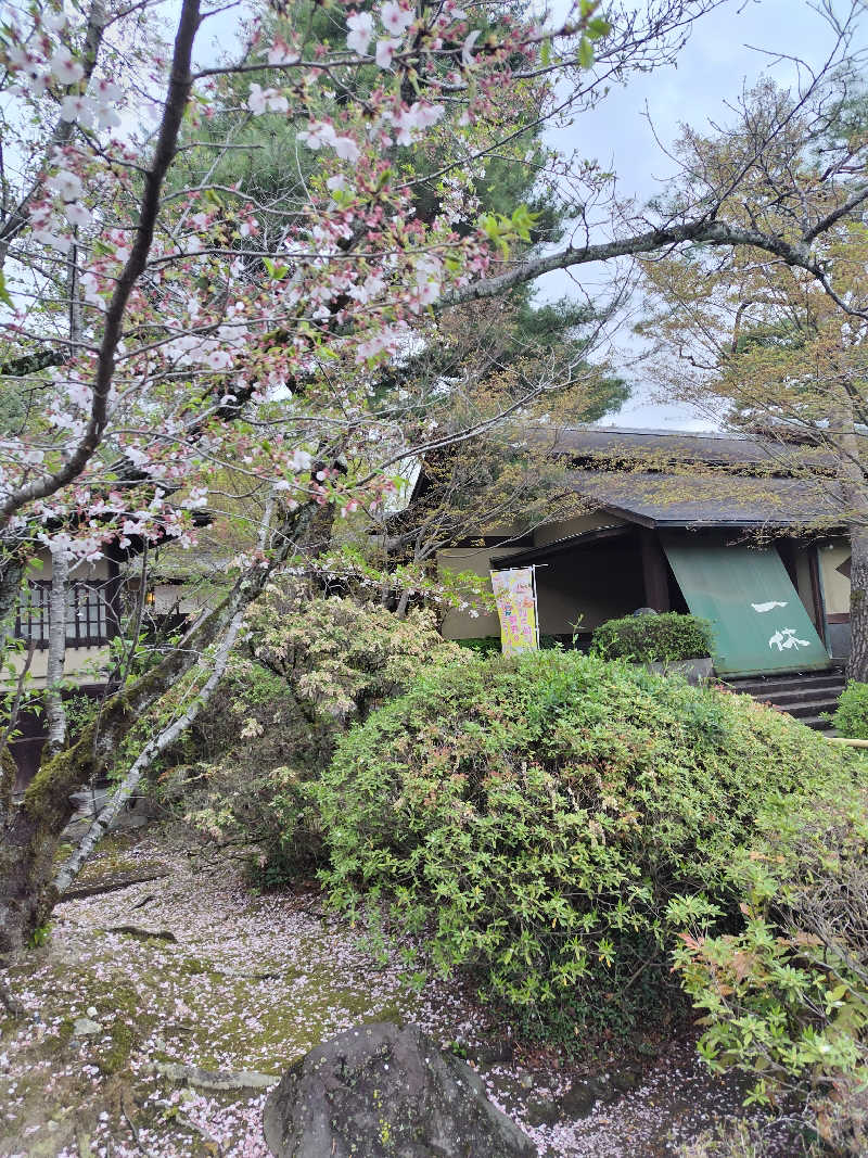 きみまろさんの上方温泉一休京都本館のサ活写真