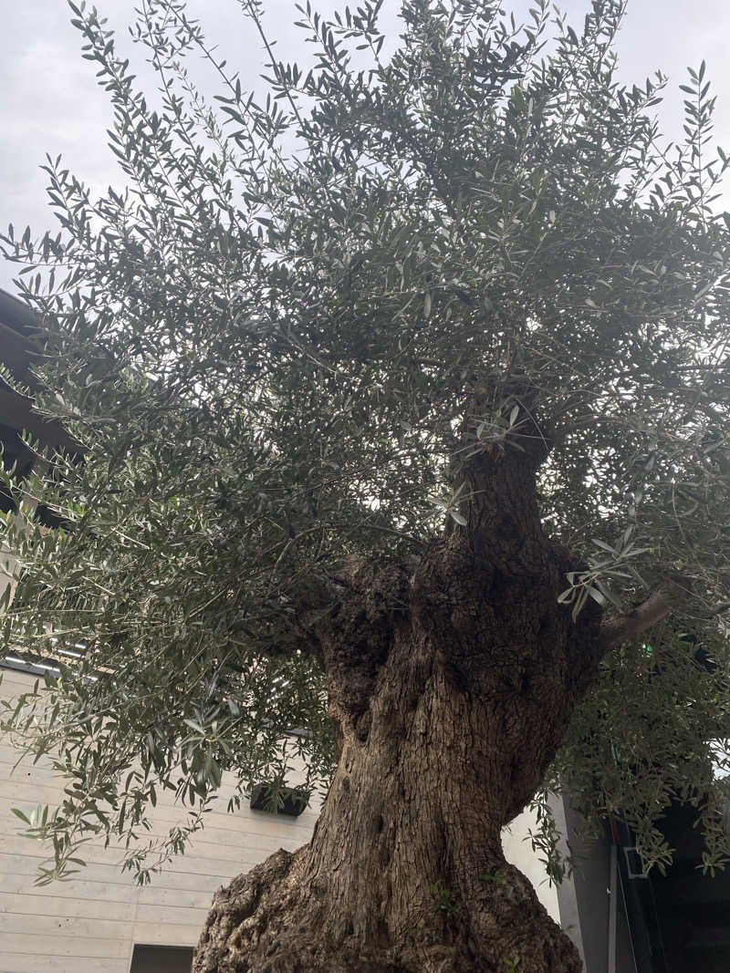 ゆかさんのsauna kolme kylä (サウナ コルメ キュラ)のサ活写真