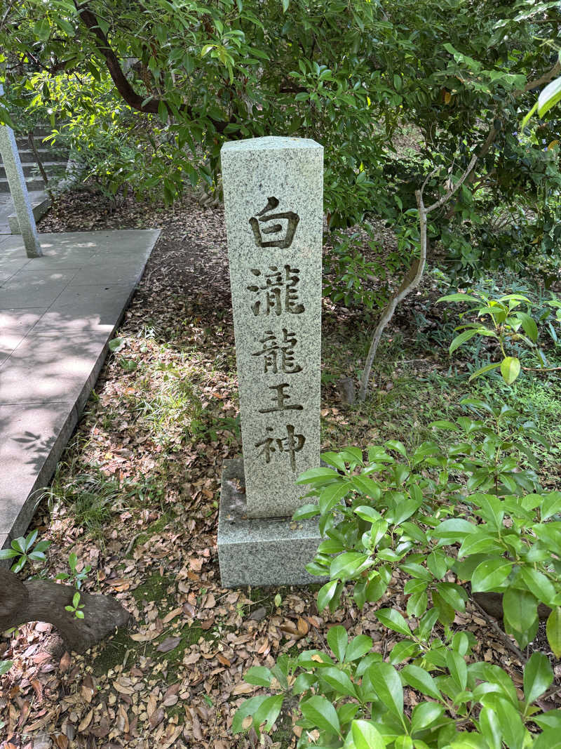 ととのったーさんの豊島園 庭の湯のサ活写真