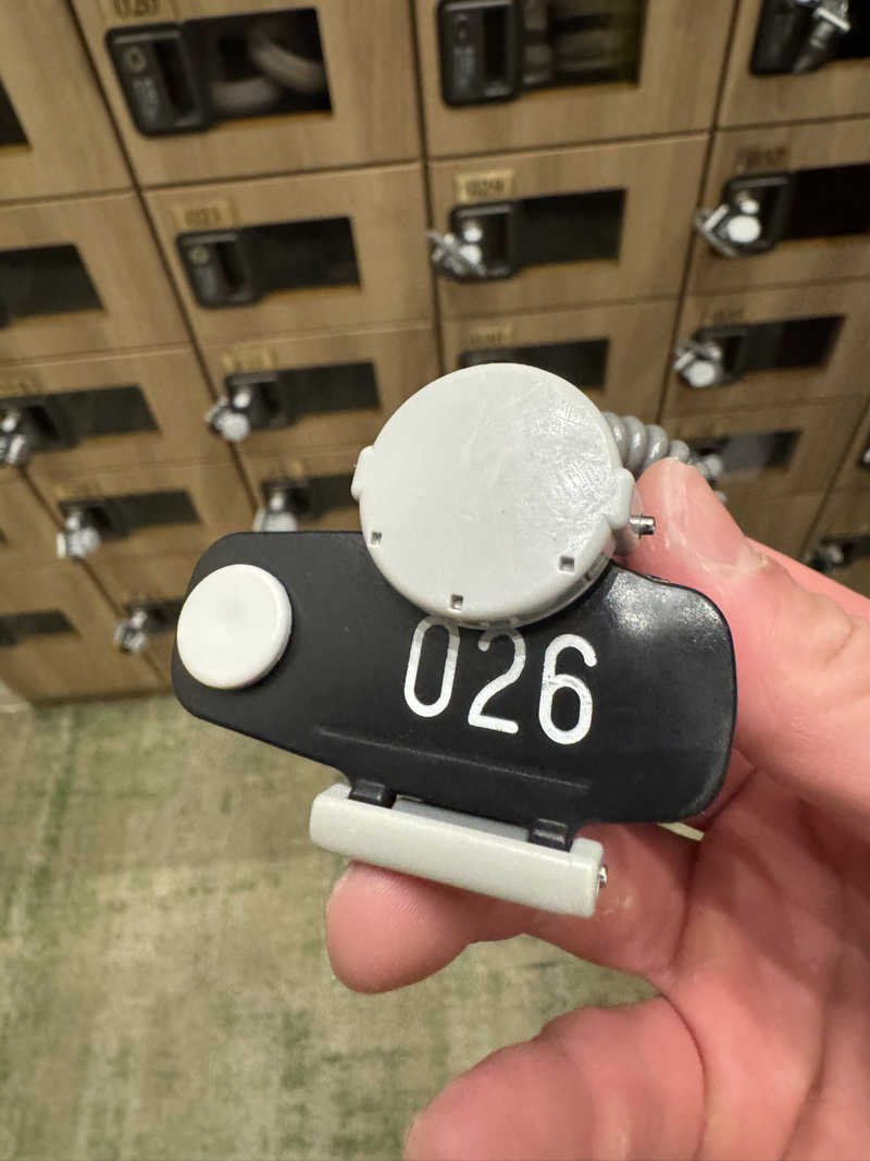 ととのったーさんの朝霞サウナ 和(なごみ)のサ活写真