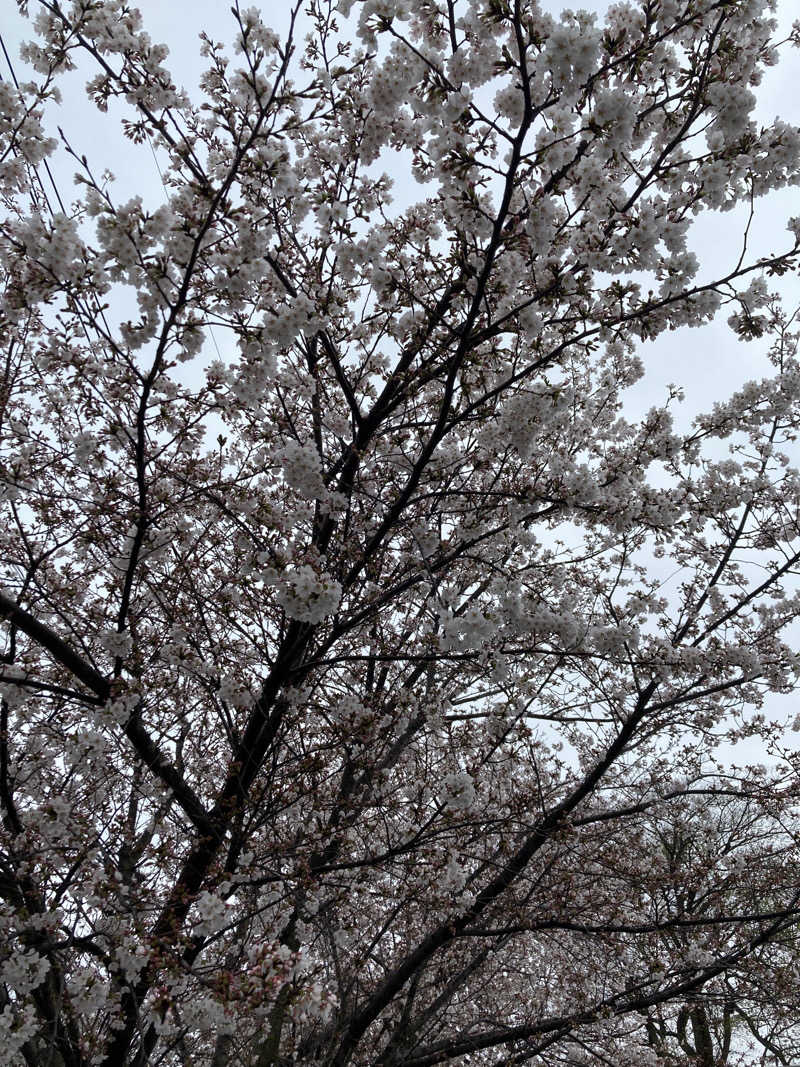 Hiroさんの花咲の湯(HANASAKI SPA)のサ活写真