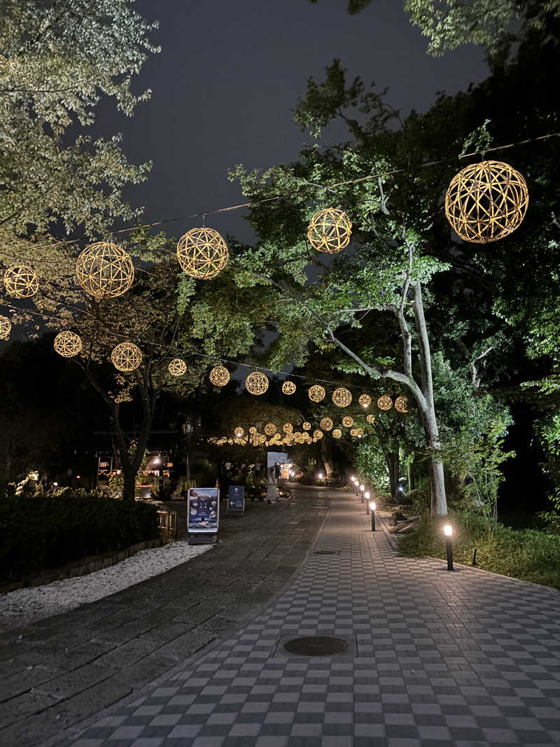 さるもちサウナさんのよみうりランド眺望温泉 花景の湯のサ活写真