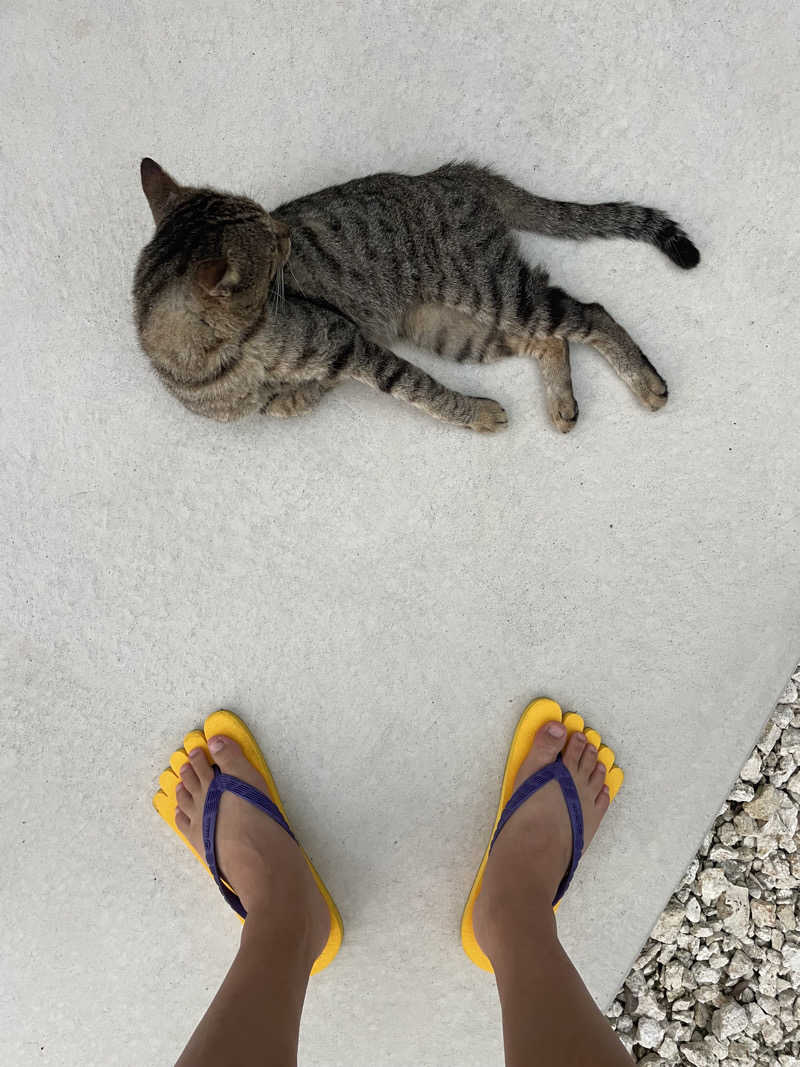 神林 澄さんのサ郷kakeRuのサ活写真