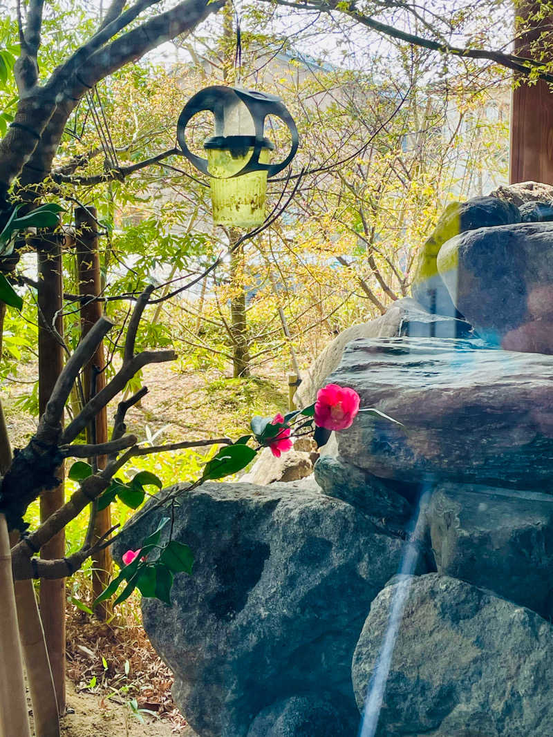 松浦（まっつん）さんの天然温泉 風の森 北陸小矢部店のサ活写真