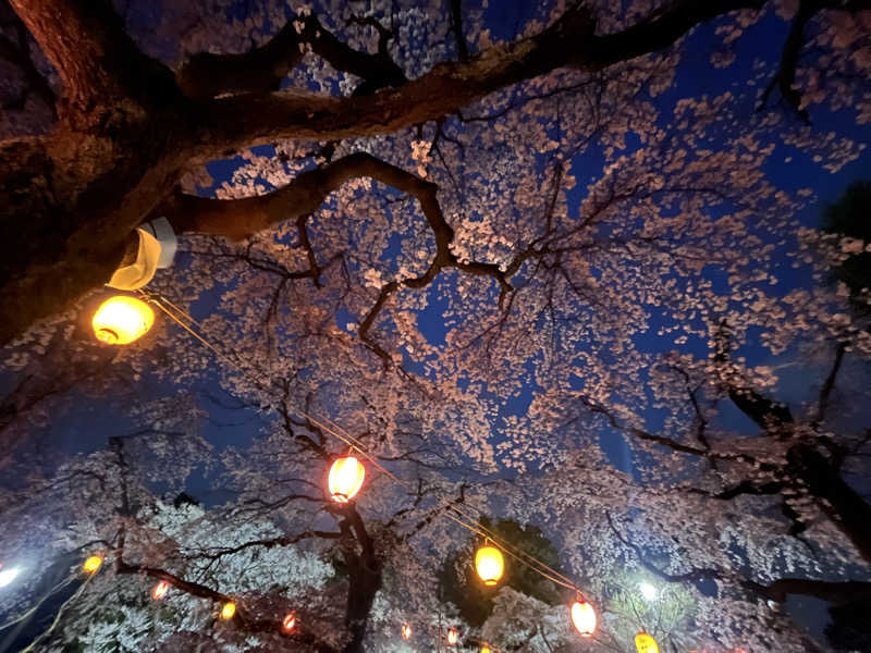 FNTさんのゆ〜とぴあ仙台南のサ活写真