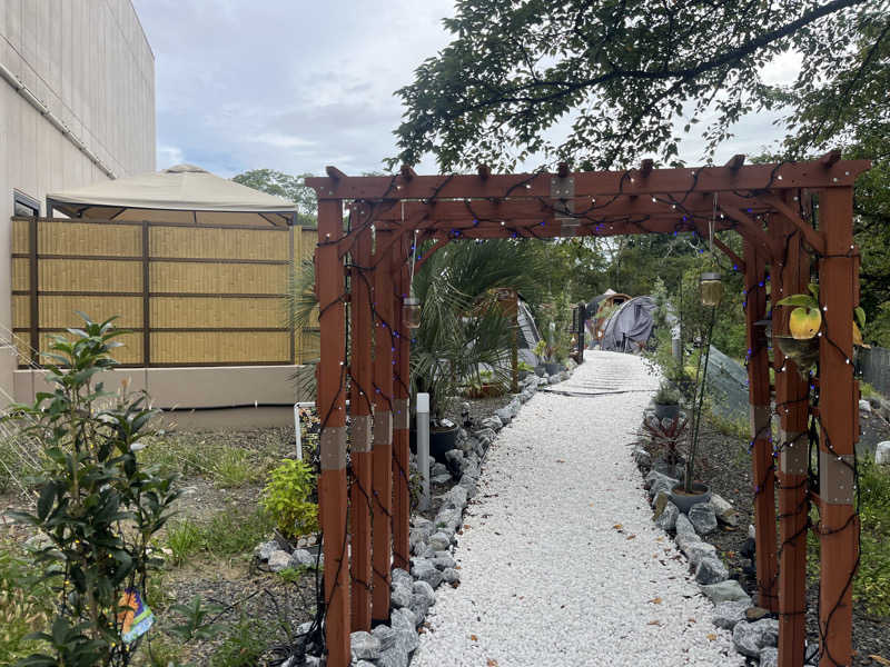 FNTさんのゆ〜とぴあ仙台南のサ活写真