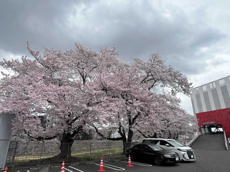 FNTさんのゆ〜とぴあ仙台南のサ活写真
