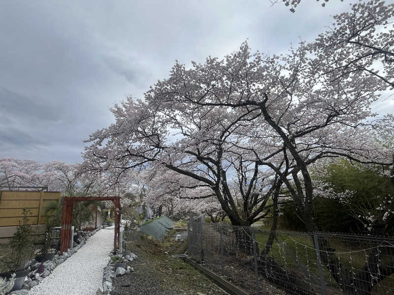 FNTさんのゆ〜とぴあ仙台南のサ活写真