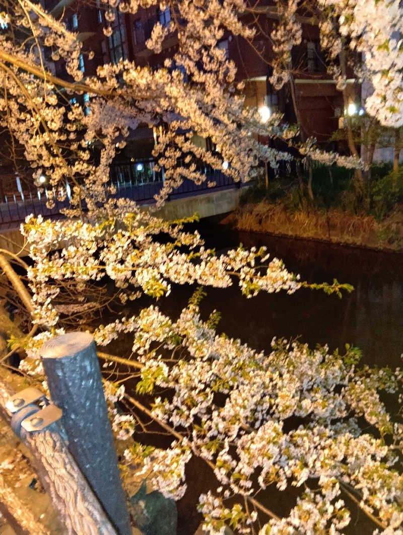 山手さんのすすきの天然温泉 湯香郷のサ活写真