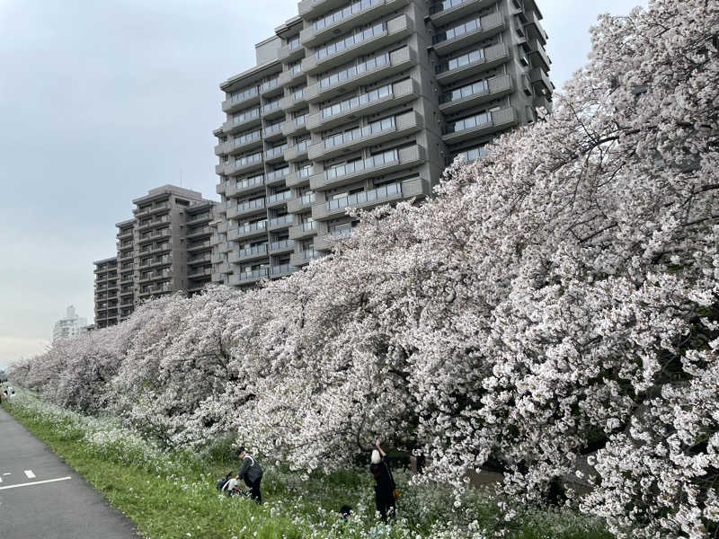たまぞうさんのCOCOFURO ますの湯のサ活写真