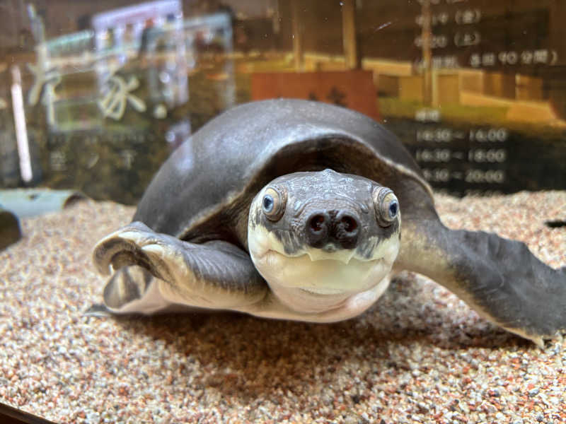 ヤマオさんの松本湯のサ活写真