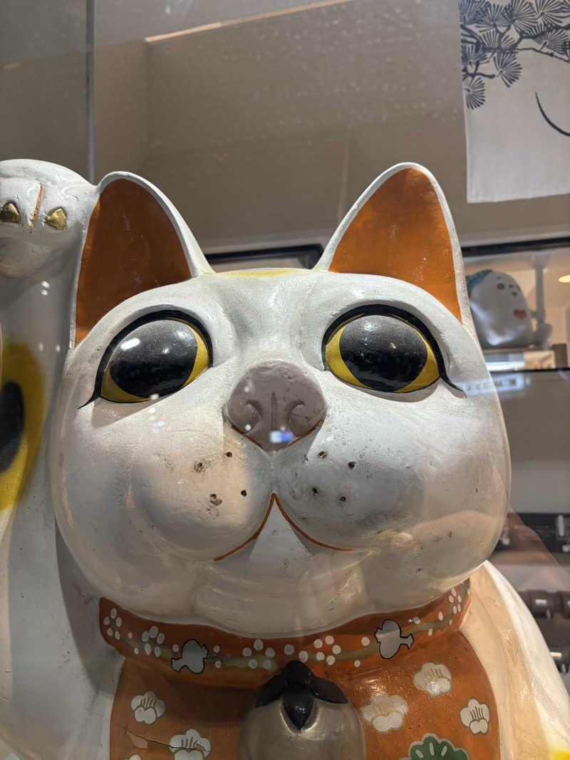 ヤマオさんの練馬湯遊邸 松の湯のサ活写真