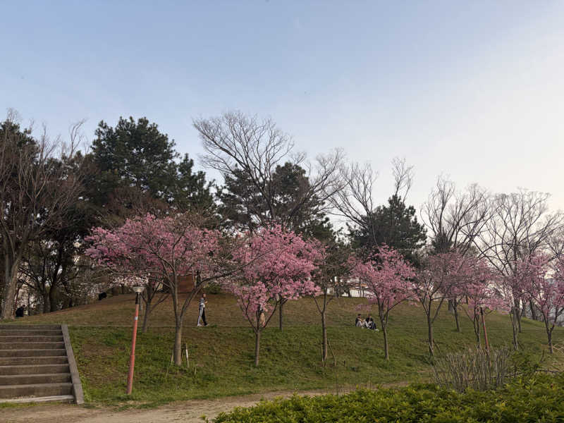 いちごぱふぇ🍓さんの励明園のサ活写真
