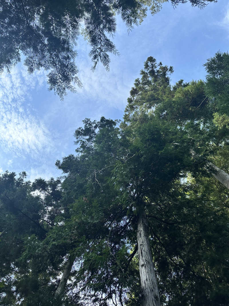 ゆうみさんのサウナ蓑蒸のサ活写真