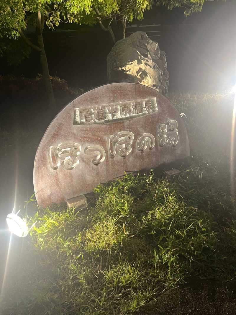 ryoさんの尾道平原温泉 ぽっぽの湯のサ活写真