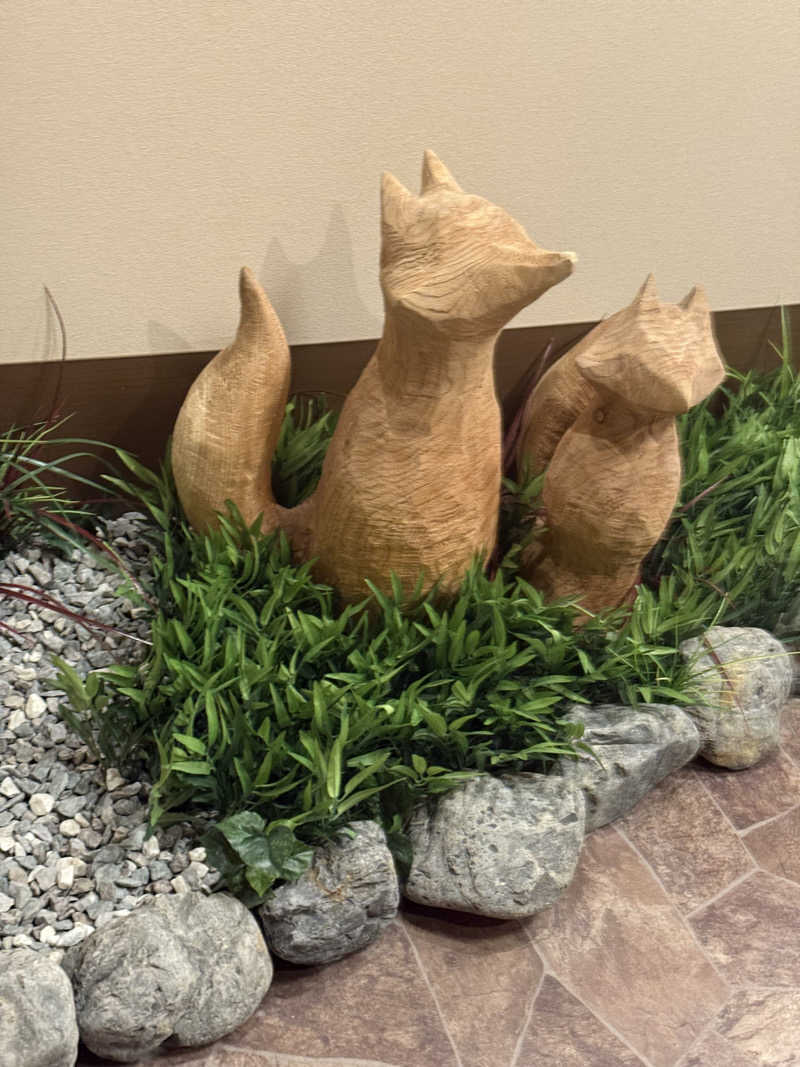 こたさんの天然温泉 天北の湯 ドーミーイン稚内のサ活写真