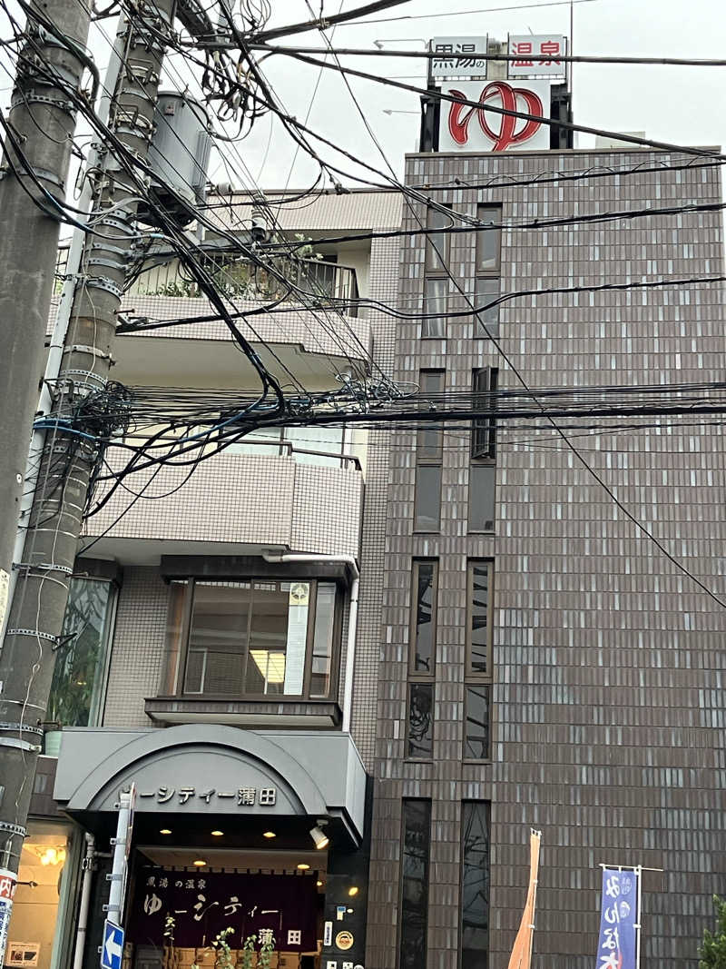 Ayaさんの黒湯の温泉 ゆ〜シティー蒲田のサ活写真