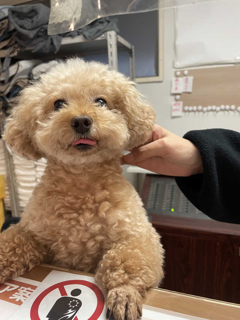 並木坂地獄温泉さんのカプセルホテルふらるのサ活写真