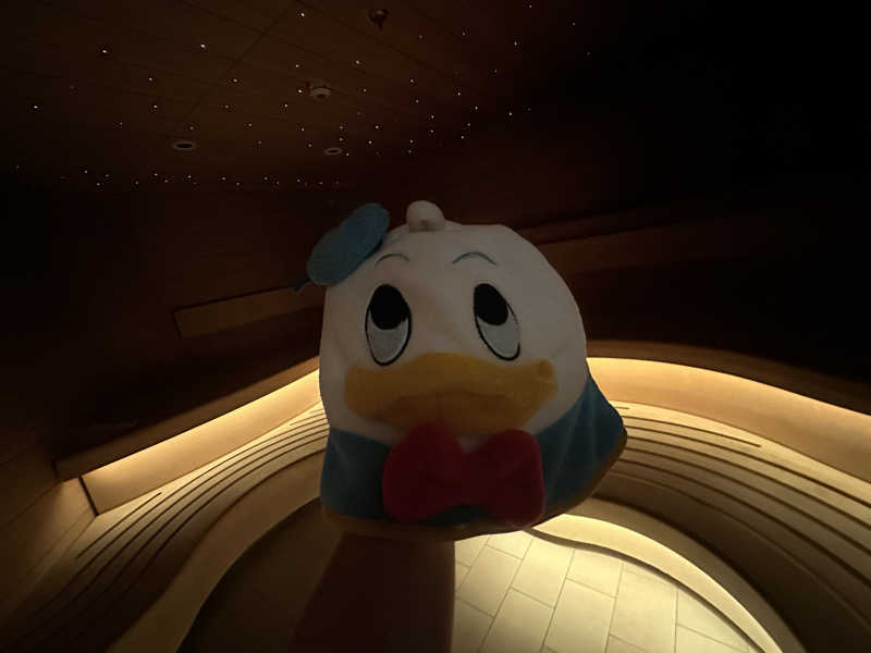 MiKi🍻さんのSenses Spa - Disney cruise Wishのサ活写真