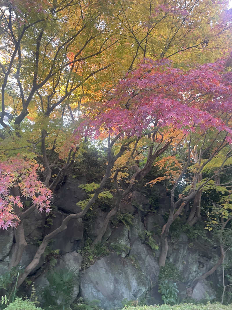 ぽっけさんのよみうりランド眺望温泉 花景の湯のサ活写真