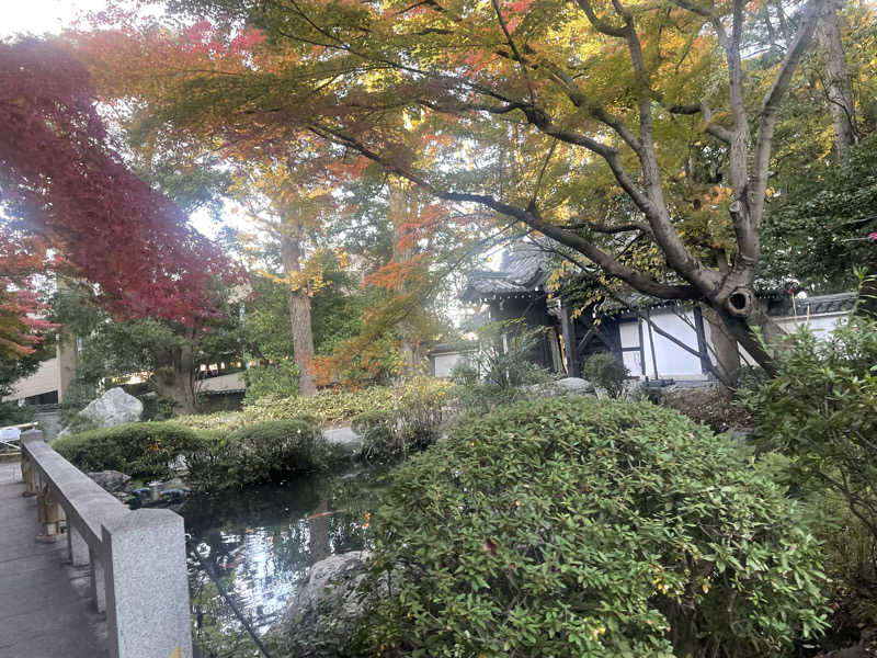 ぽっけさんのよみうりランド眺望温泉 花景の湯のサ活写真