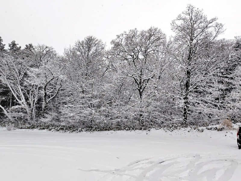 ゆばさんのアイアイひらたのサ活写真