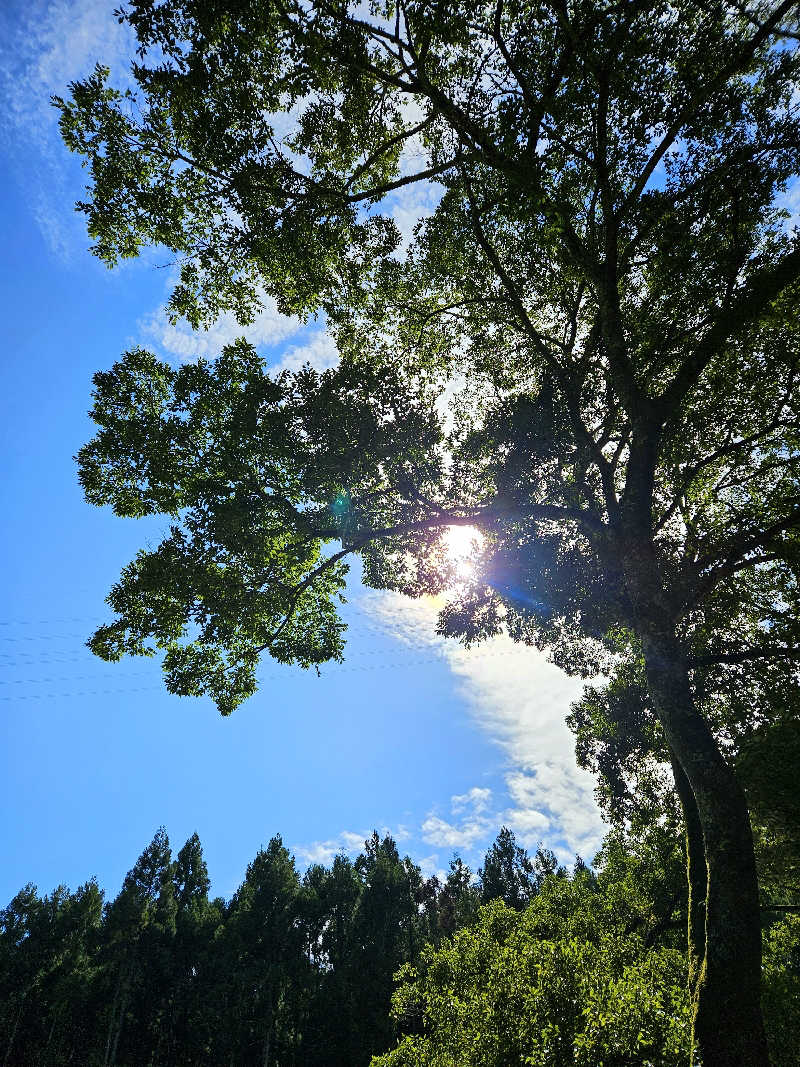 サあいこーかさんのサウナ天竜のサ活写真