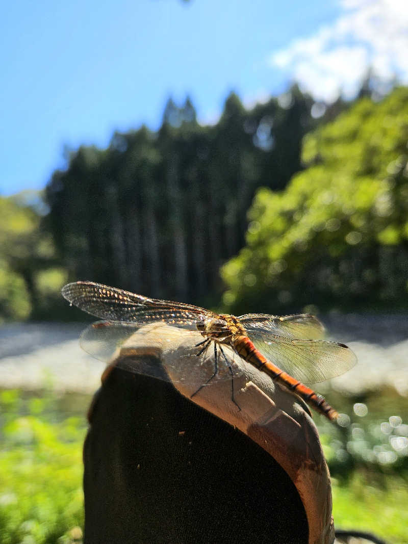 サあいこーかさんのサウナ天竜のサ活写真