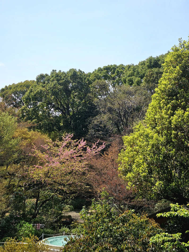 サあいこーかさんの豊島園 庭の湯のサ活写真