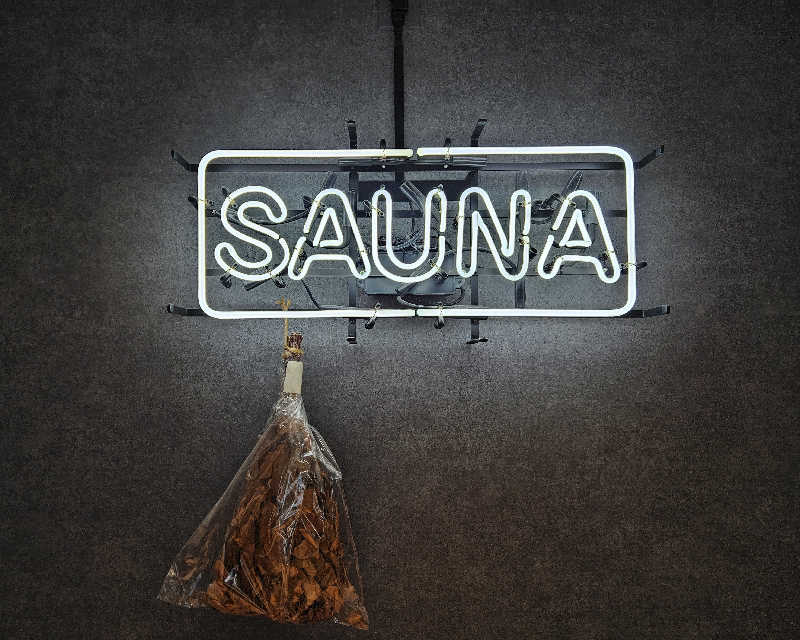 サあいこーかさんのライオンサウナ新橋 (レンブラントキャビン&スパ新橋内)のサ活写真