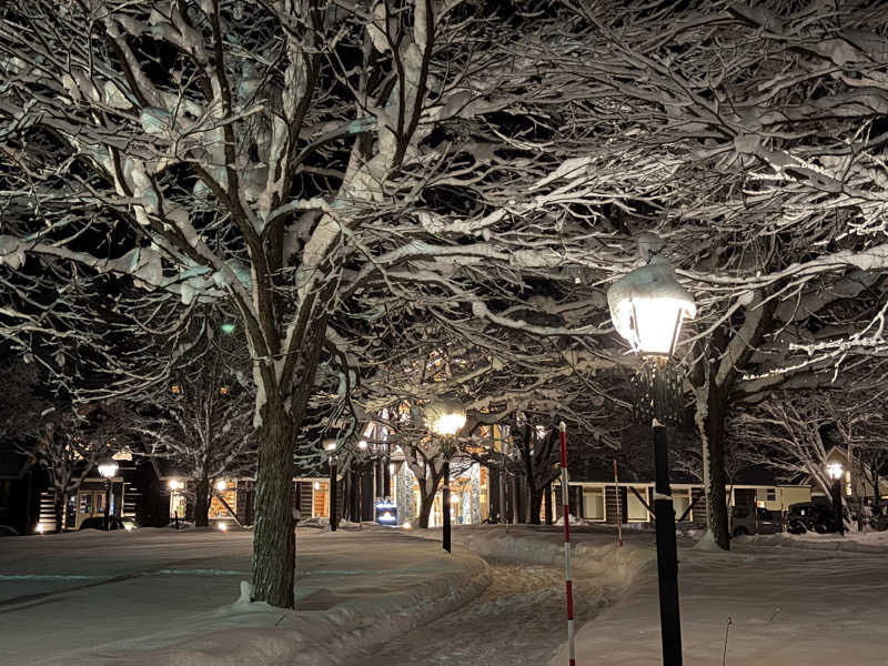 サウナで免疫上げるアラフォーしゃちょーさんのログホテル  ザ  メープルロッジのサ活写真