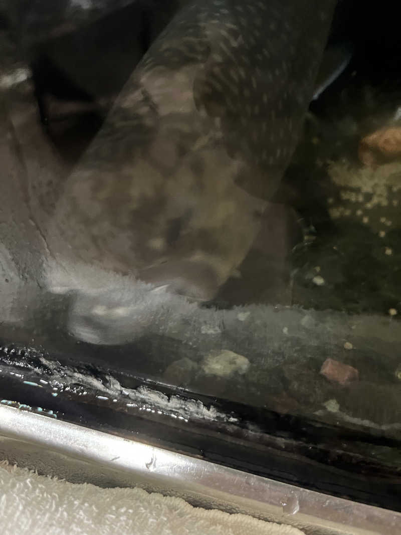 ユウコ・デラックスさんの寿広園のサ活写真